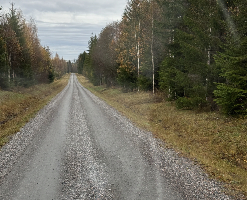 In de omgeving op pad