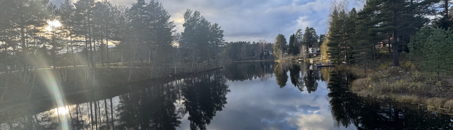 Wandelcoaching Job Veeger