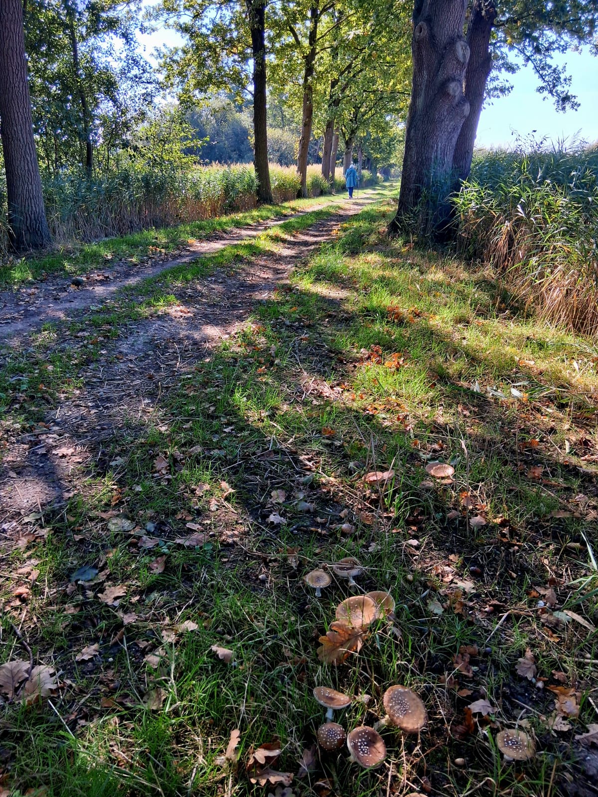 Wandelcoaching Job Veeger